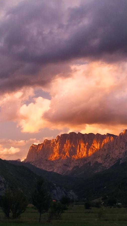 Mountain Cottage Komarnica Savnik Dış mekan fotoğraf